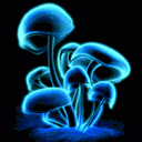 Semi_Nice