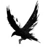 Ravens